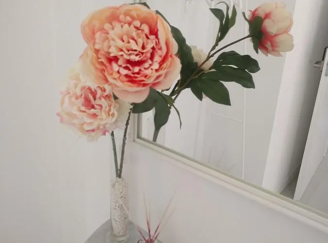 Le Dei Fiori Guest house