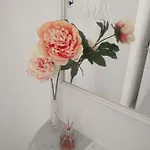 Le Dei Fiori Penzion