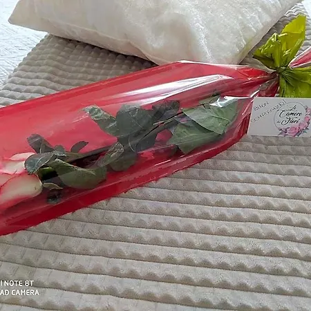 Le Dei Fiori 招待所 圣雷默