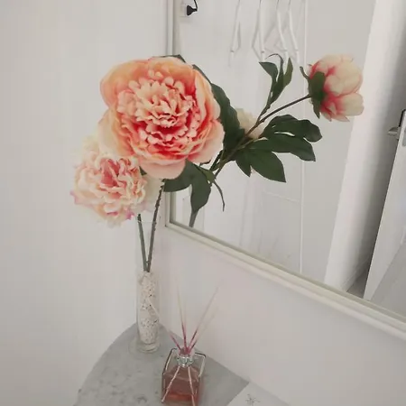 Le Dei Fiori 招待所