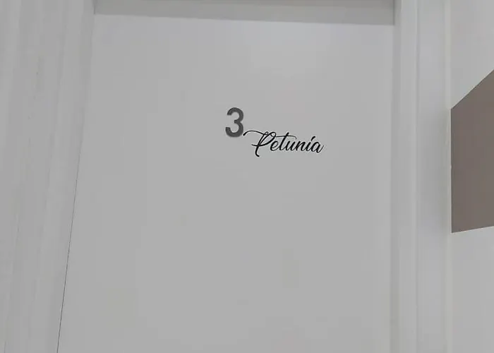 Le Dei Fiori 招待所 4*